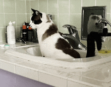 a black and white cat sits in a sink next to a bottle of milgart