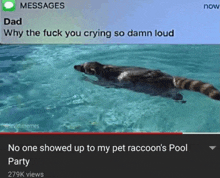 a video of a raccoon swimming in a pool with a message from dad