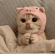 a cat wearing a pink pig hat licking its lips