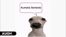 a cartoon dog with a speech bubble that says kumala savesta