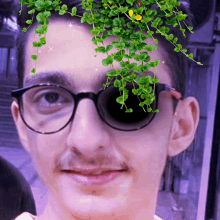 a man wearing glasses has a plant growing out of his eye