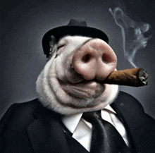 a pig wearing a hat and tie smoking a cigar