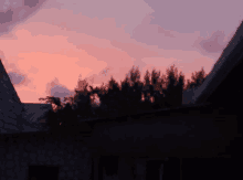 a sunset with trees in the foreground and a roof in the background