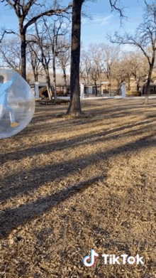 a tik tok video of a person in a bubble ball