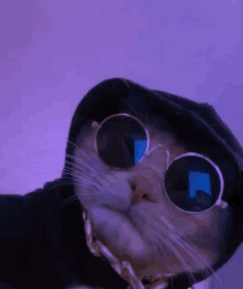 a close up of a cat wearing sunglasses and a hoodie .