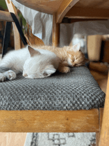 two kittens are sleeping on a chair with a rug in the background