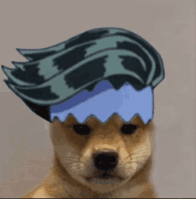 a dog wearing a blue hat with a cartoon character on it .