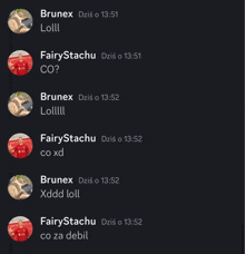 a screenshot of a conversation with brunex and fairystachu