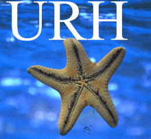 a starfish in the water with the word urh above it