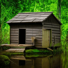 a small wooden house is sitting in the middle of a swamp in the middle of a forest .