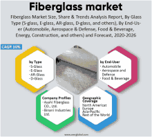 an advertisement for fiberglass market size share & trends analysis report by glass type