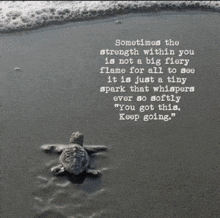 a turtle on the beach with a quote that says sometimes the strength within you is not a big fiery flame