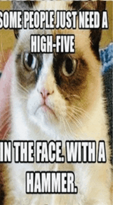 a grumpy cat says some people just need a high-five in the face with a hammer