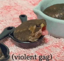 a frog is sticking its tongue out of a frying pan next to a bowl of soup .