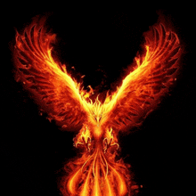 a phoenix is surrounded by flames on a dark background