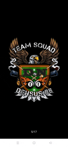 a logo for team squad densus 88 with an eagle and pool balls on a black background