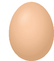 a brown egg on a white background with a white border