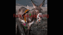 a donkey is standing in a field with the words fuck donkey kong written on the bottom