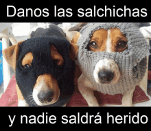 two dogs wearing sweaters with the words danos las salchichas y nadie saldrá herido on the bottom