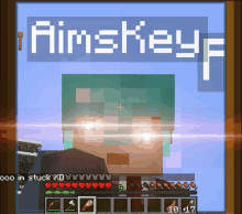 a picture of a minecraft character with the name aimskeyf on it