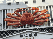 a large red crab is hanging from the side of a building with chinese writing on it