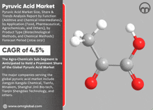 the pyruvic acid market size share and trends analysis report by function by application food pharmaceutical agrochemicals and others