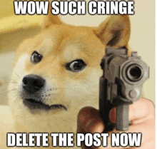 a meme of a dog pointing a gun with wow such cringe delete the post now written below it