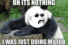 a panda bear wearing sunglasses is laying on a stump with the caption oh it 's nothing