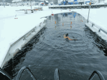 a person is swimming in a body of water in the winter