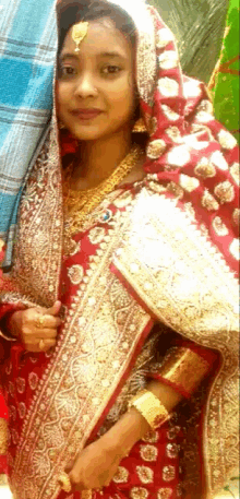 a woman in a red and gold dress with a veil on her head