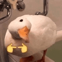 a white duck with a yellow beak is standing next to a toilet .