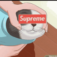 a person is holding a cat 's head with a supreme sign on it .