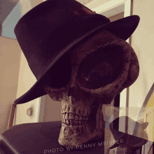 a skull wearing a black top hat is displayed by penny meister