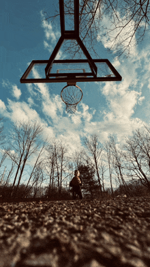 a basketball hoop in the middle of a forest with trees in the background