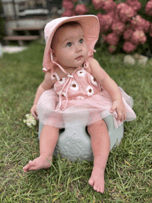 a baby girl wearing a pink hat and a pink dress is sitting on a chair in the grass