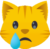 a cartoon cat with a tear coming out of its eye