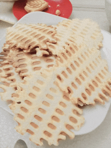 a white plate topped with a stack of waffle crackers