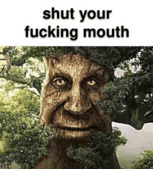 a picture of a tree with a face on it that says `` shut your fucking mouth '' .