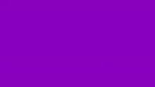 a plain purple background with no texture or pattern