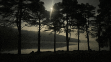 a black and white photo of a lake with trees in the foreground and the sun shining through the trees