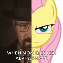 a half of a man and half of a pony with the words when mom is in her alpha phase