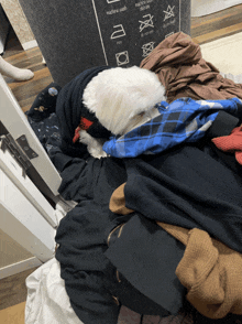 a white dog is sleeping on a pile of clothes in front of a sign that says machine wash