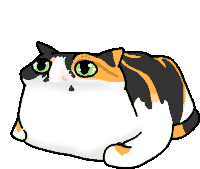 a calico cat with green eyes is laying down and looking up