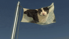 a black and white cat is on a flag that is flying in the wind