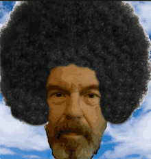 a man with a beard and a large afro