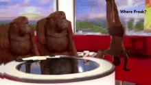 three orangutans sit at a table with a man doing a handstand and the words where freaks