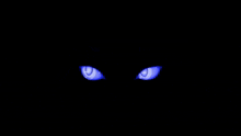 a pair of blue eyes with the letter u in the center