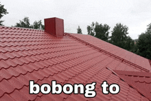 a red roof with the words bobong to written below it