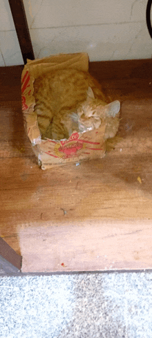 a cat is laying in a bag that says ' hamburger helper ' on it