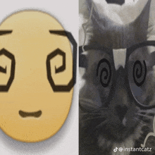 a picture of a cat wearing glasses next to a picture of a smiley face